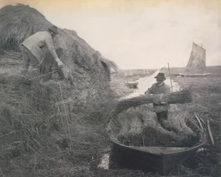 Ricking the Reed, Leben und Landschaft auf den Norfolk Broads, ca. 1886